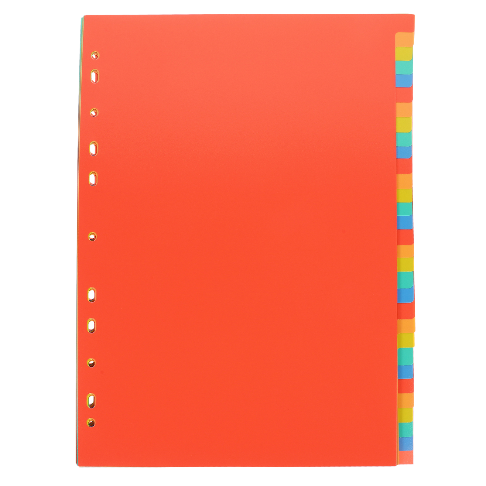 A4 Index Pages Plastic Binder  - Tab Divider A4 recension och pris